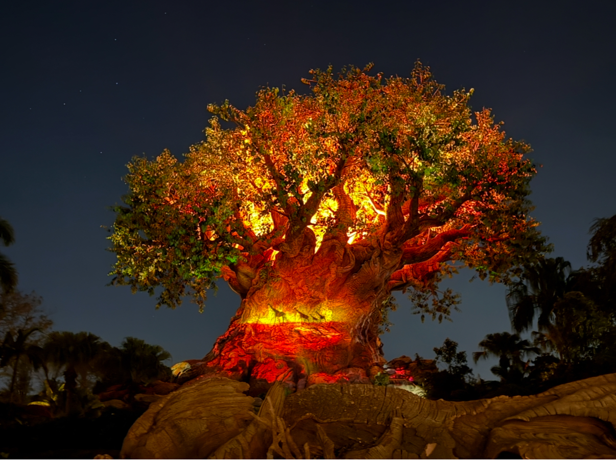 Close to Disney’s Magic Kingdom, EPCOT, Disney’s Animal Kingdom, Universal Orlando Resort, EPIC Universe and all Central Florida has to offer !