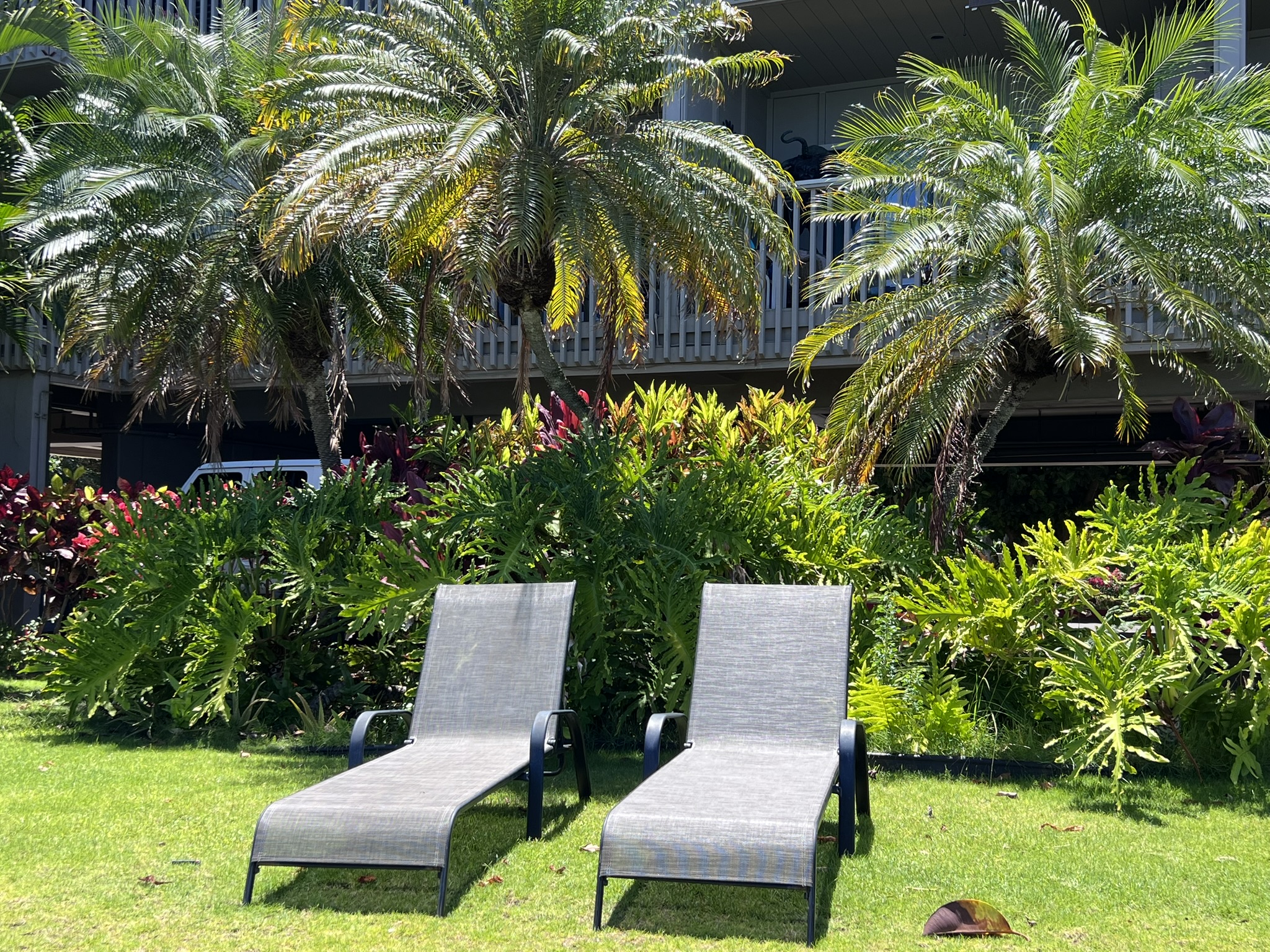 Oceanfront loungers