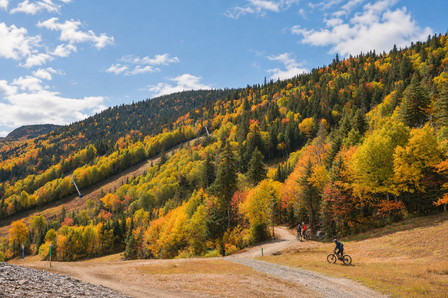 Mountain Bike Park