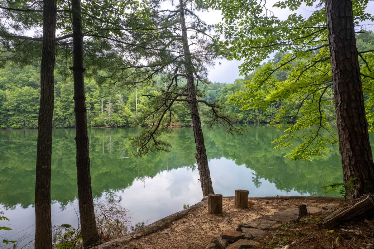 Tranquil Lakeview Retreat: Enjoy serene water reflections and nature's embrace at your doorstep!

