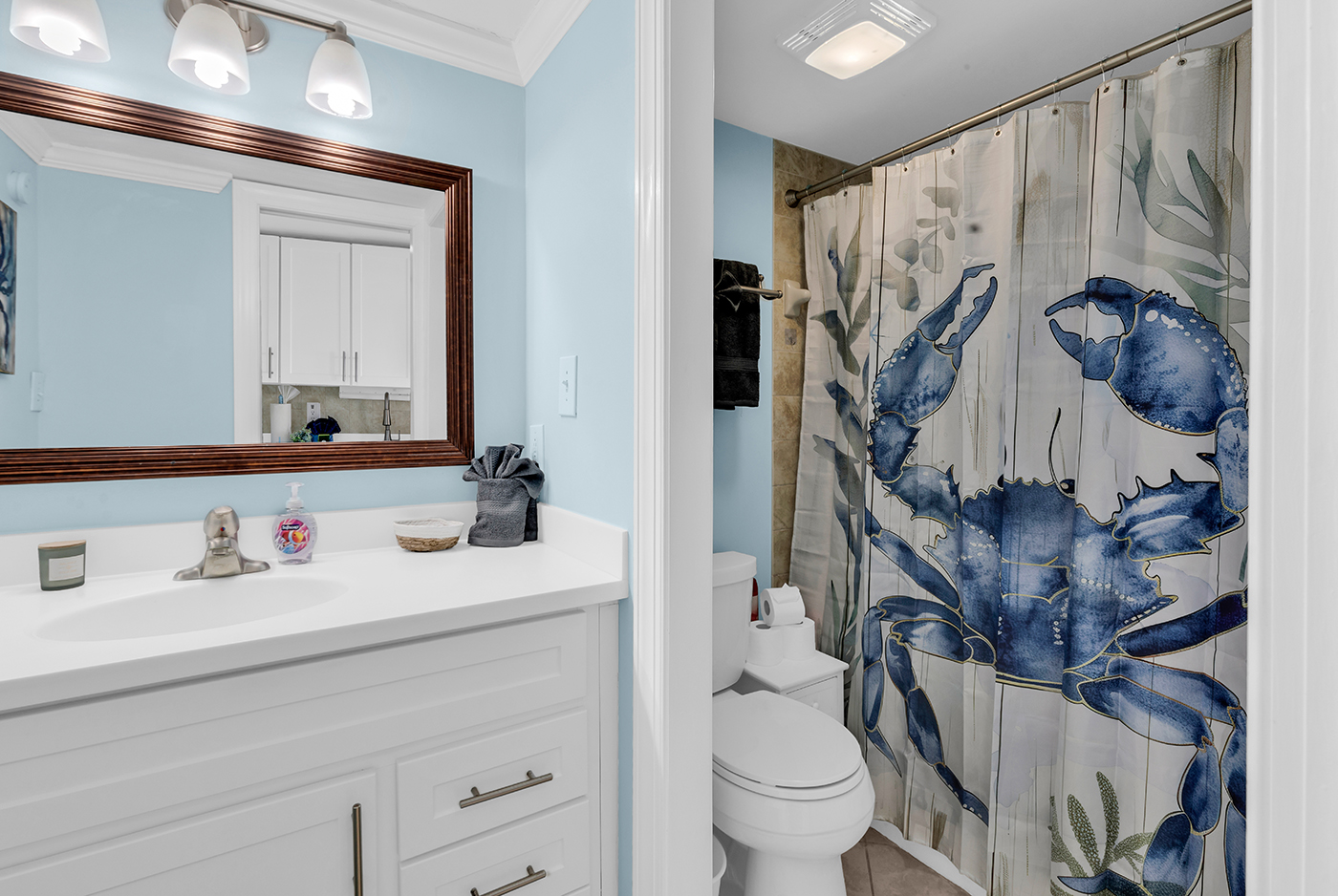 New Decor in Bathroom