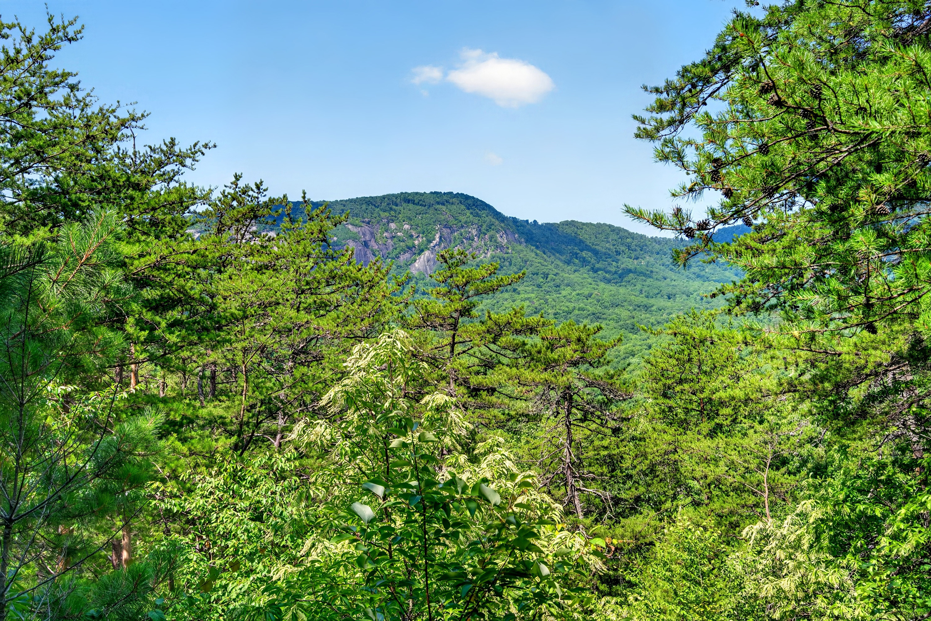 Mountain views