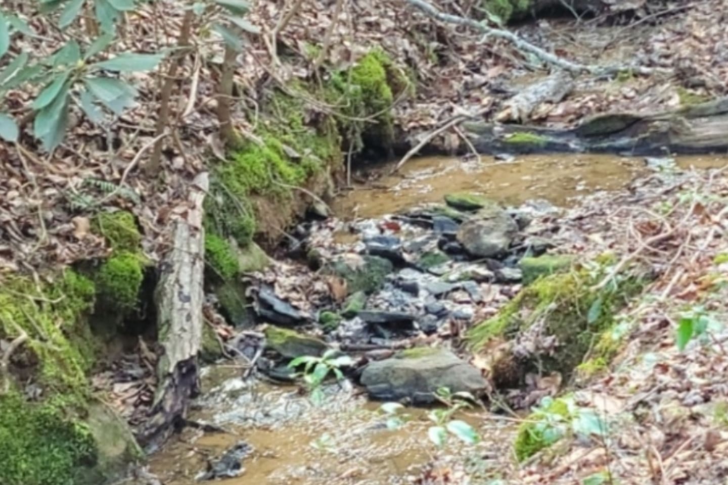 Small stream on property