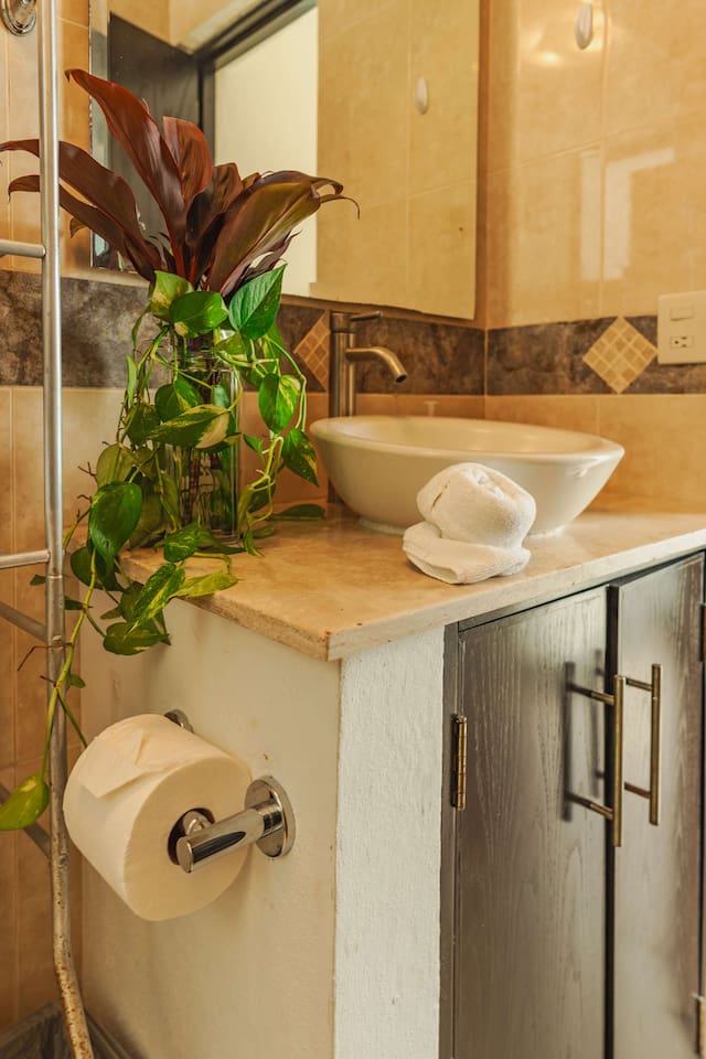 Bathroom - Master suite 