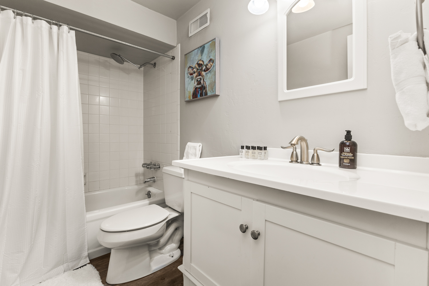 Downstairs Bathroom #3 | Shower and Bathtub | Toilet