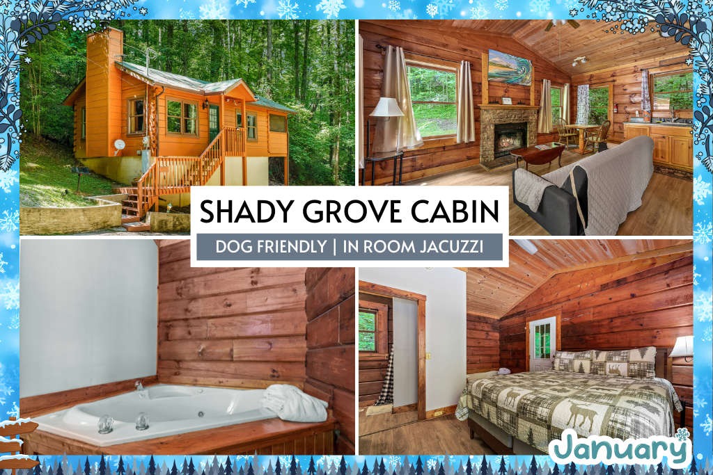 Welcome to Shady Grove Cabin – your private, dog-friendly retreat in the Smoky Mountains, where cozy comfort meets peaceful forest charm.