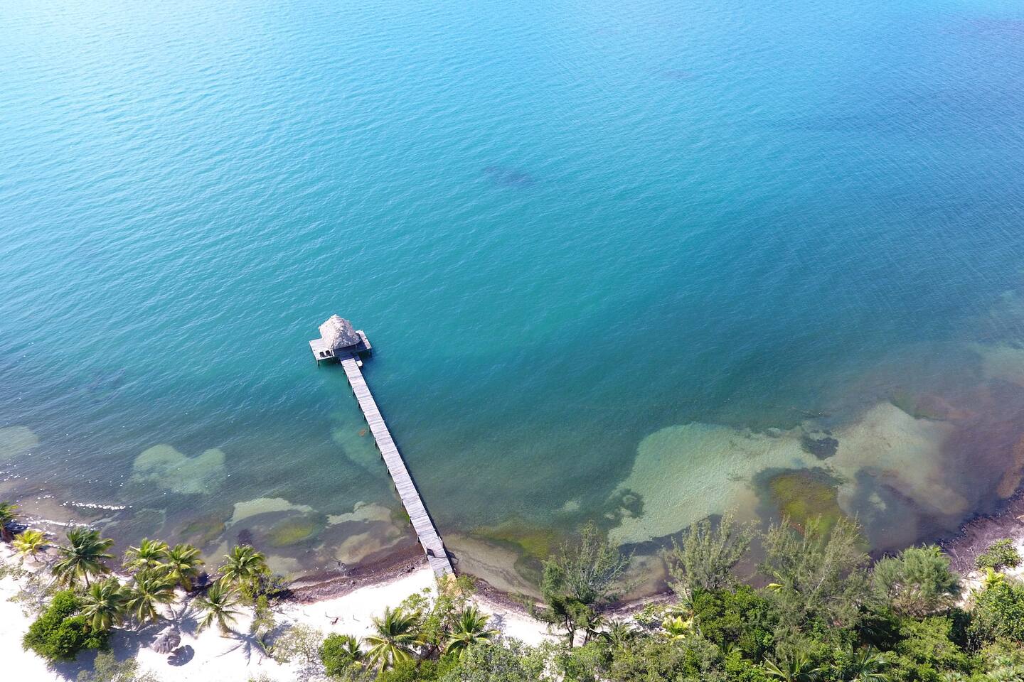 The pier in all its beauty