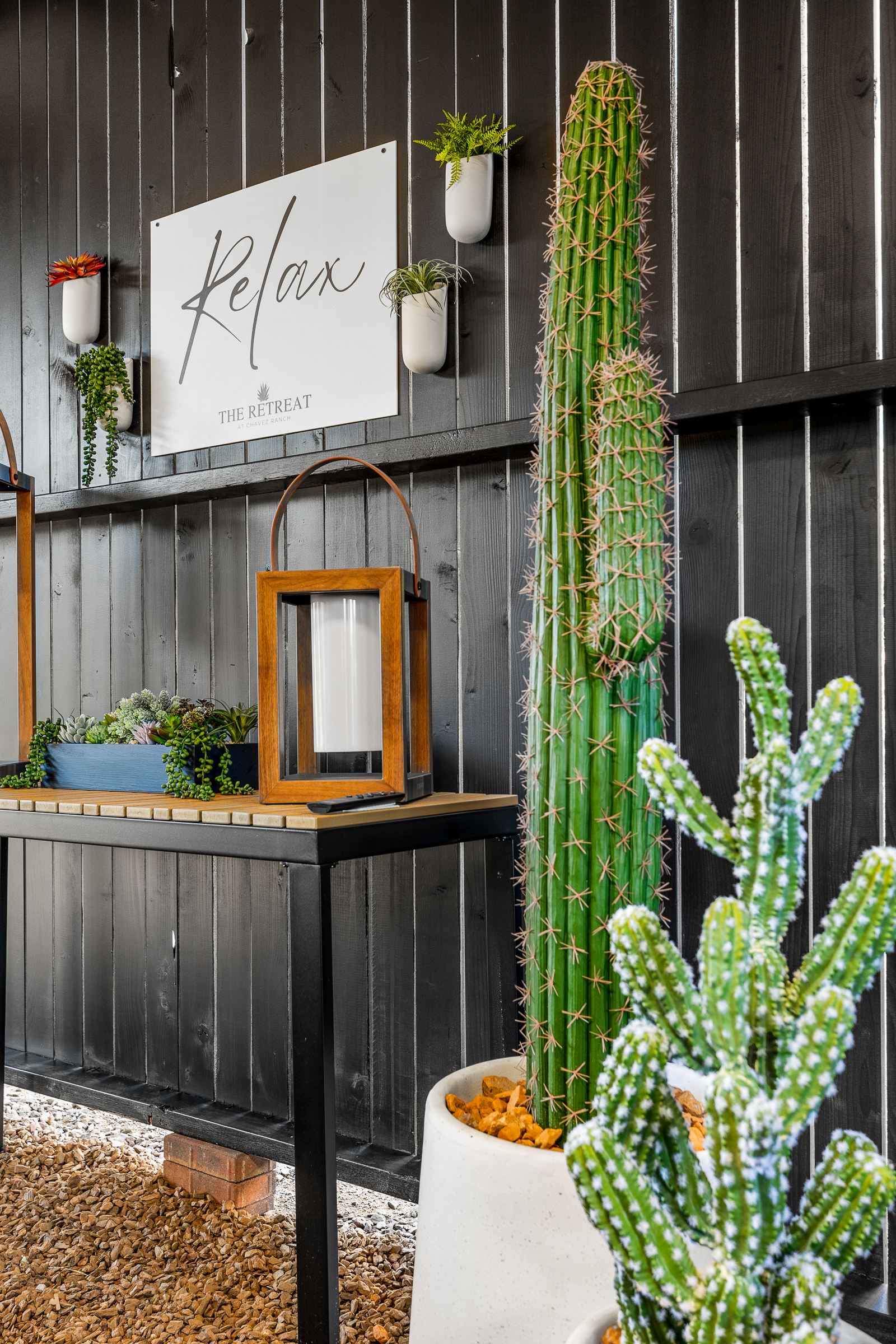 Natural textures, desert plants, and soft lighting details create a calm, grounding atmosphere throughout the Wellness Area.