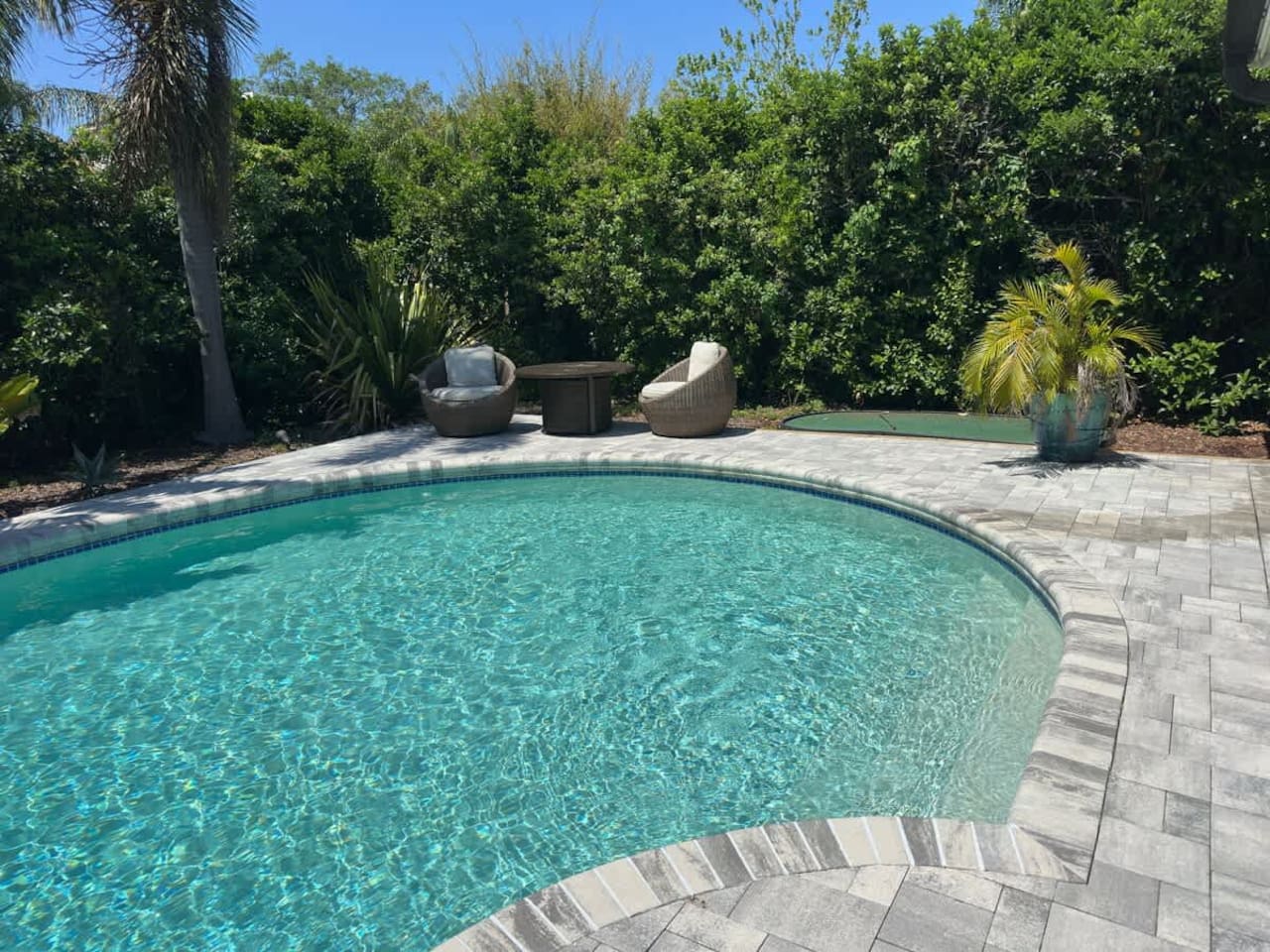 Pool View And Backyard