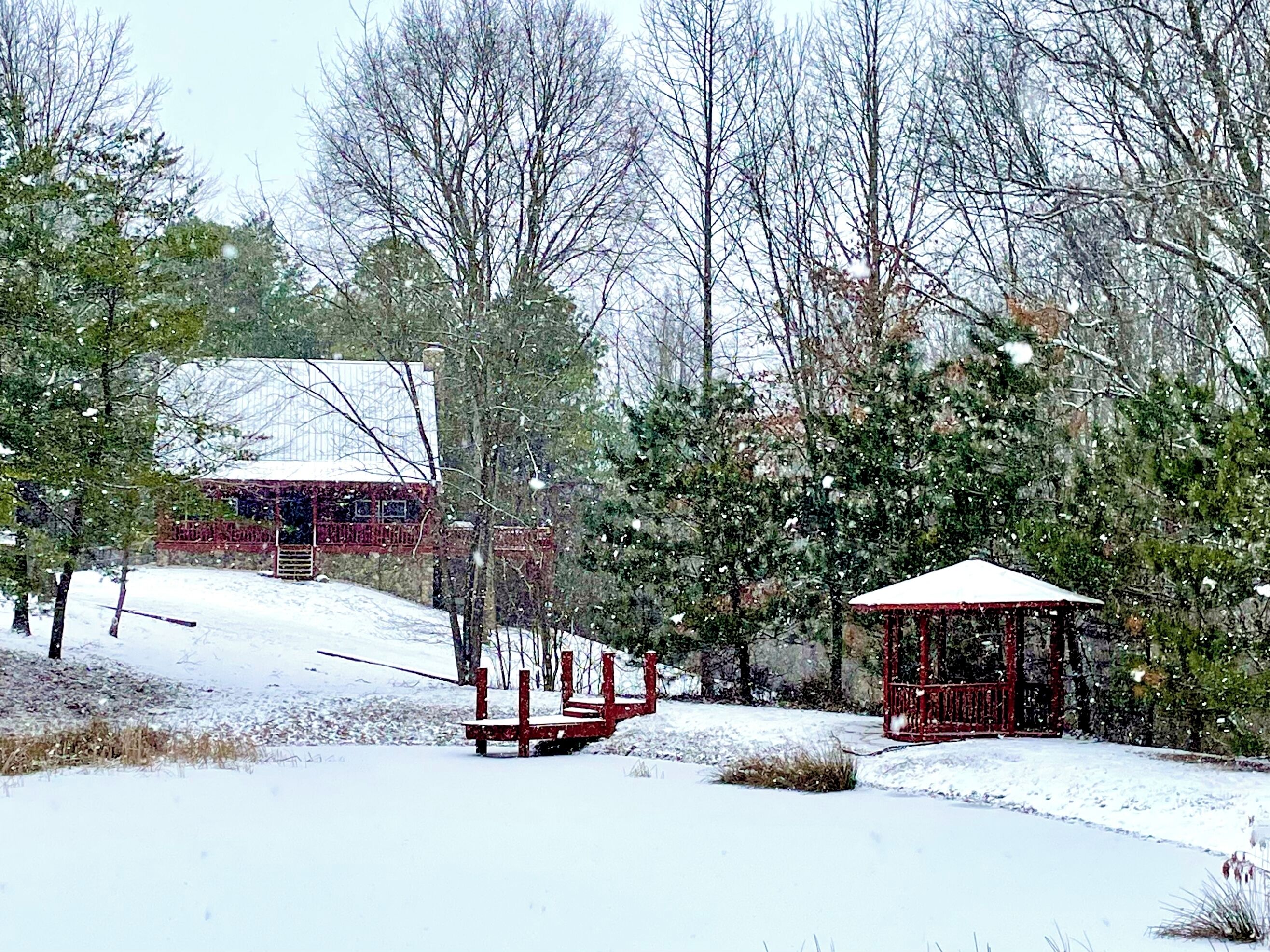 🎄It's like driving into a Chrismas Card!