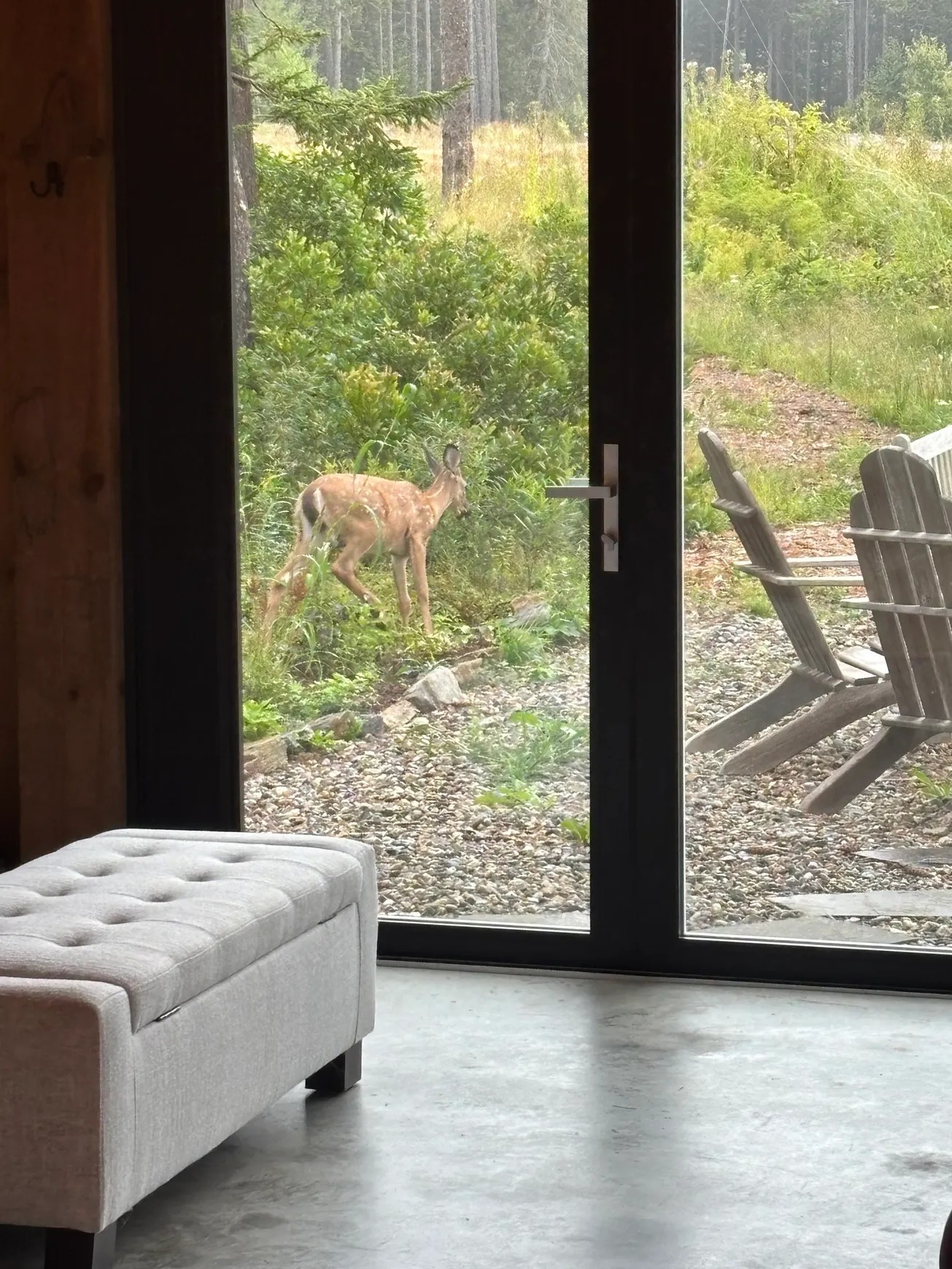 Checking out the Bunkhouse....yup it's that cool. Views of deer grazing in the field behind the Bunkhouse is common after the sunsets...But this little guy took it a step closer. 