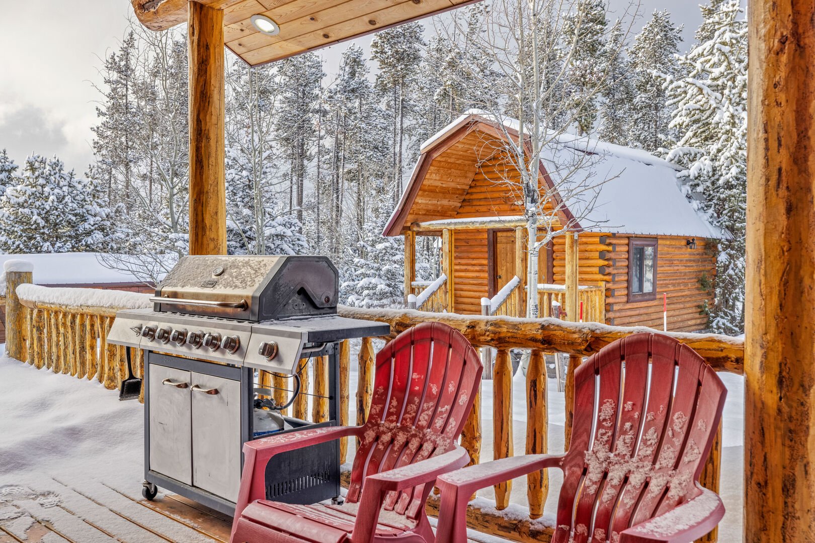 Deck w/ propane grill
