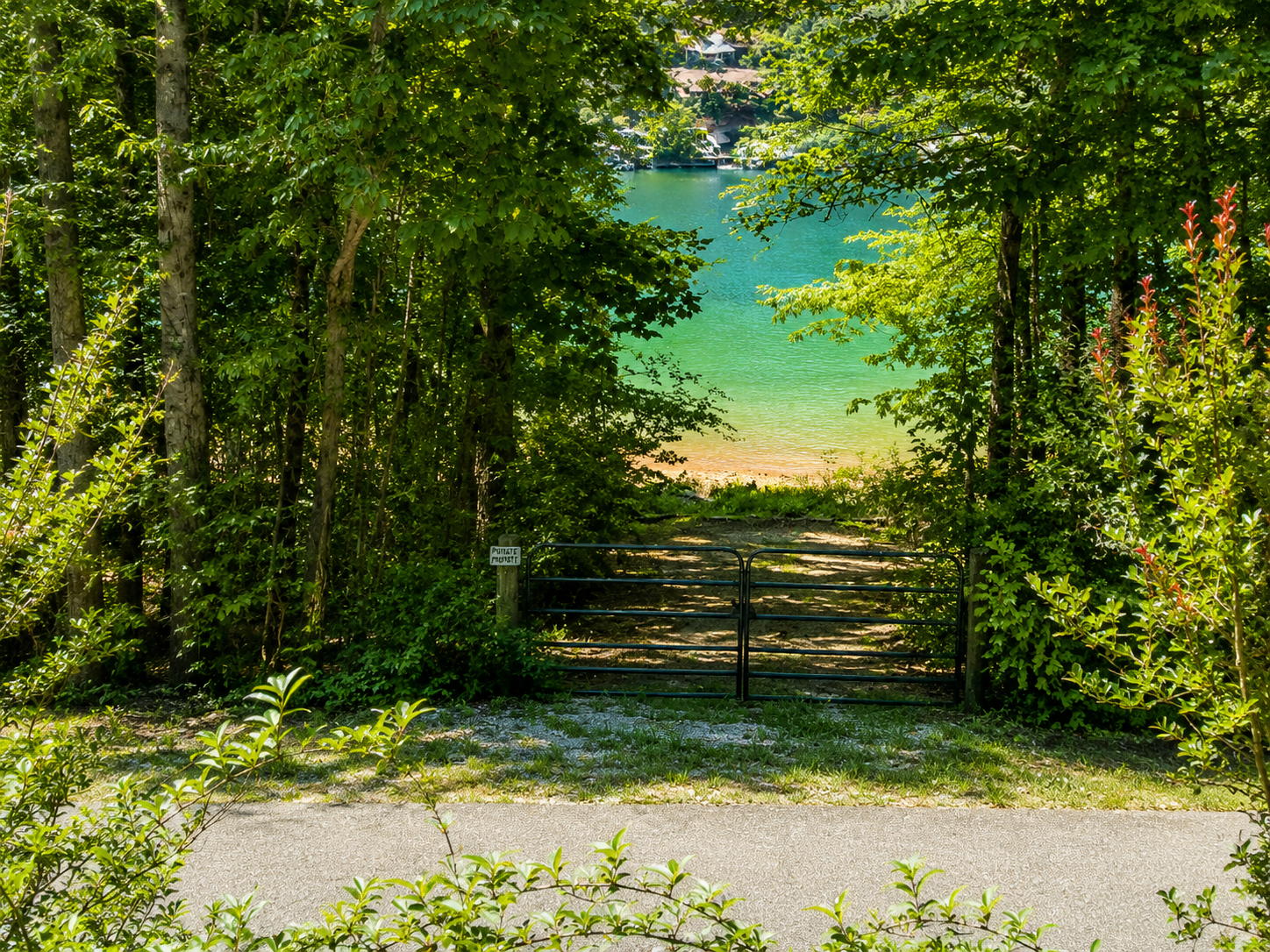 View of lake from house