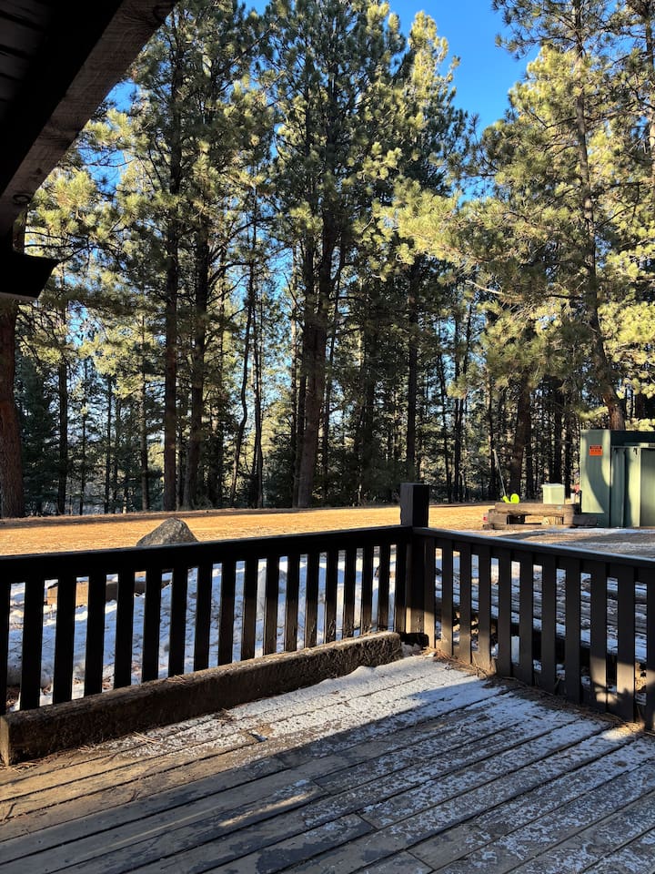 Large deck area with stunning pine tree views