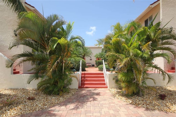Sarasea Complex