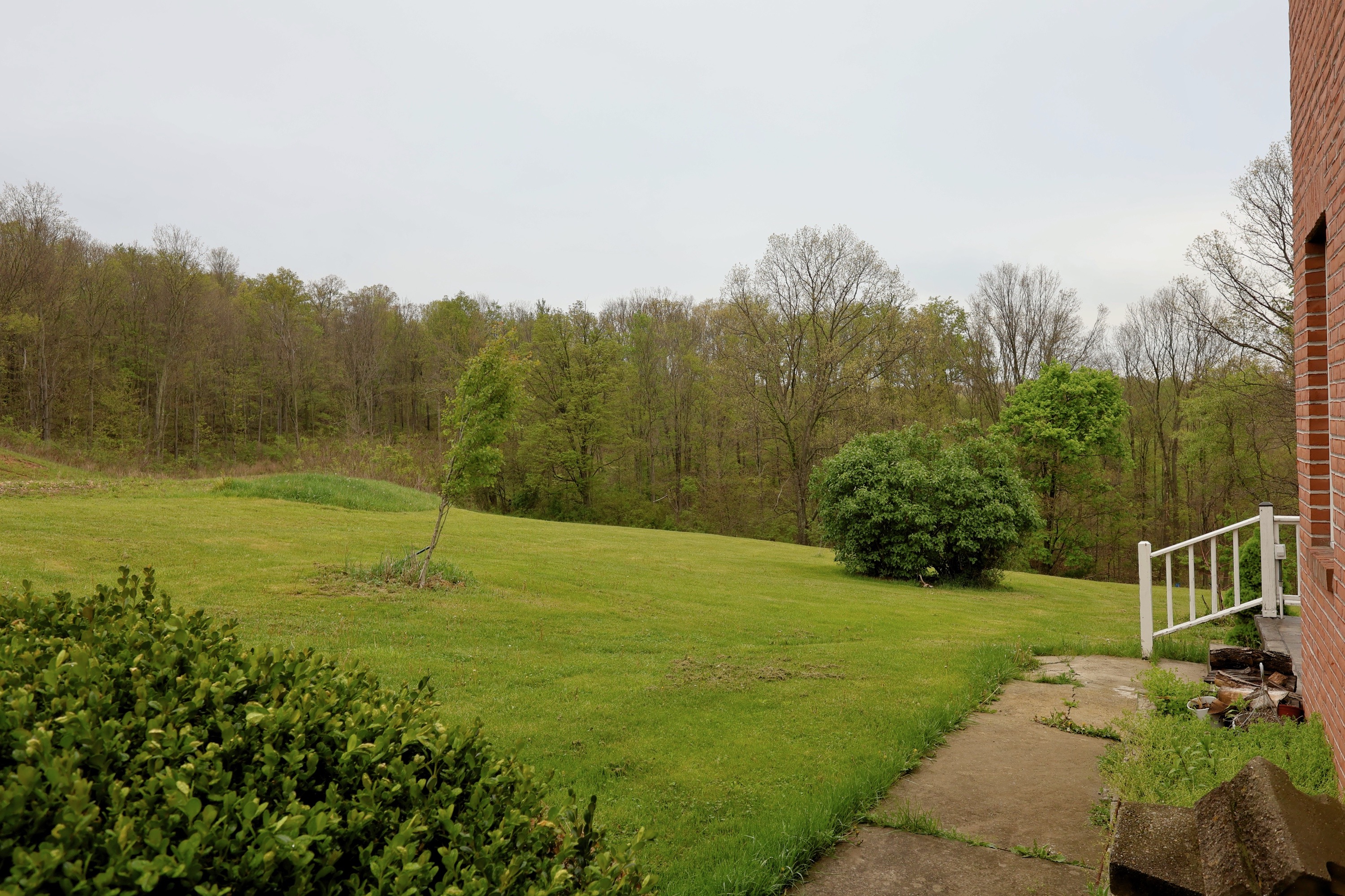 The view from the outdoor dining space