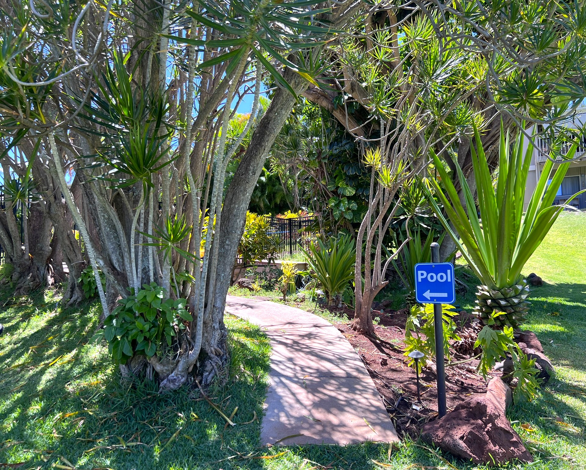 Walkway to pool