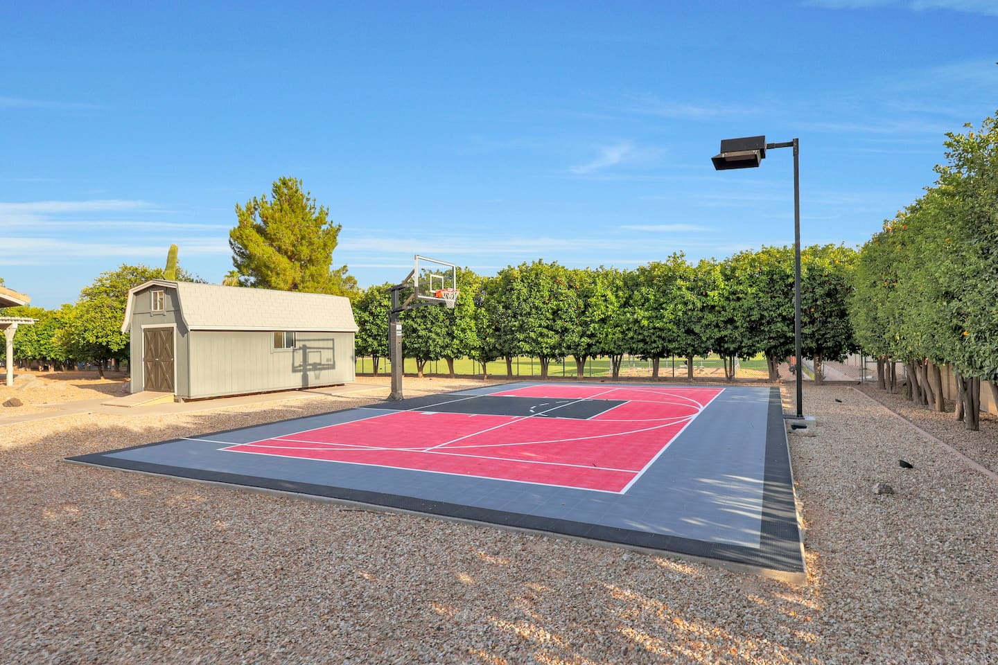 Backyard