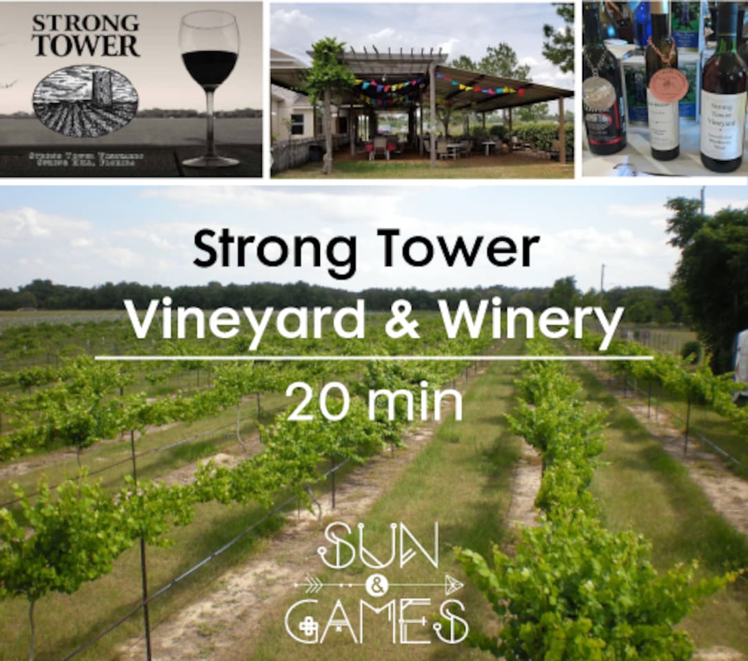 Strong Tower Vineyard and Winery 20 minute drive. Taste certified Florida wines, including grape and fruit-based varieties, and participate in U-Pick grape harvesting.