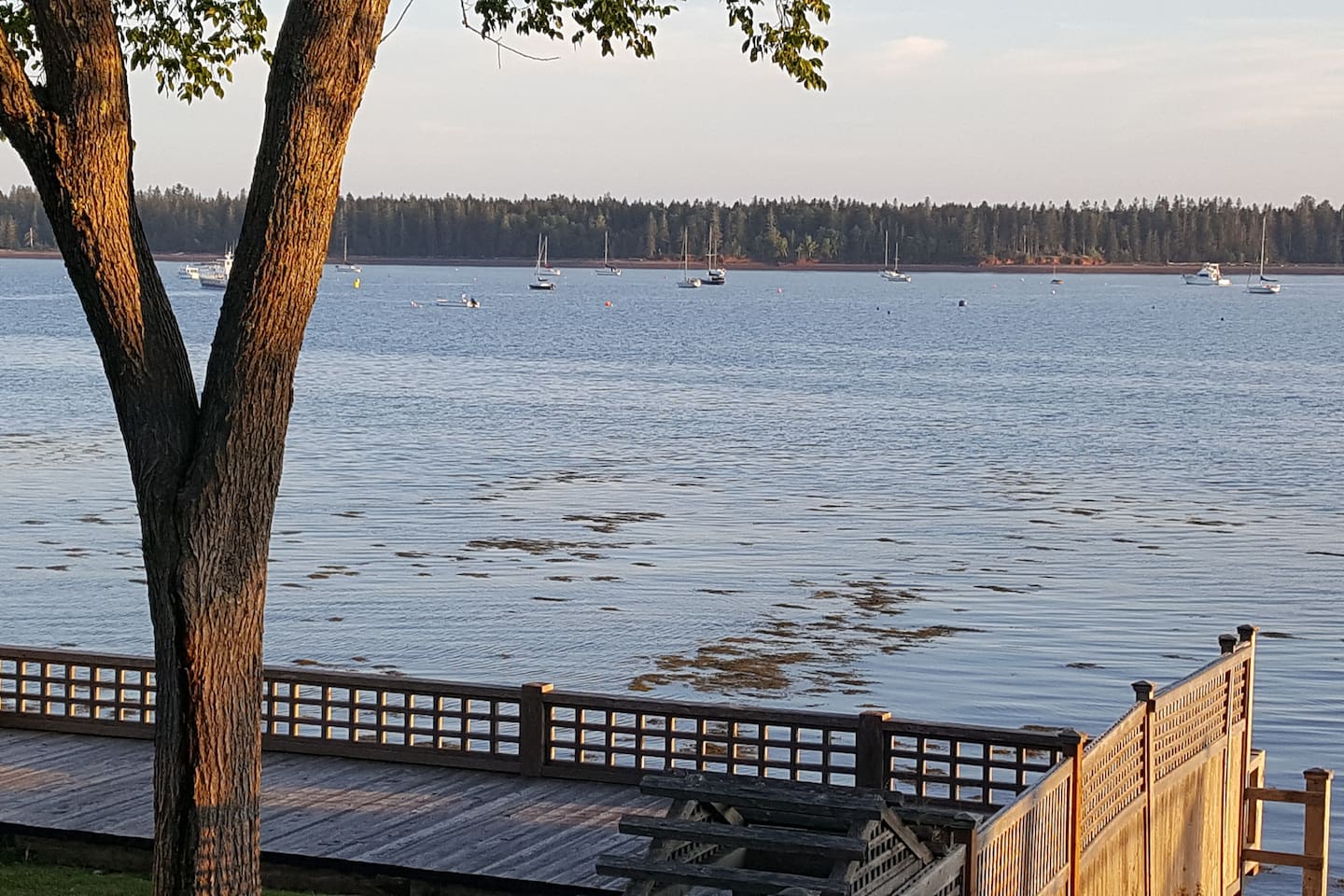 View from one of the private balcony's.