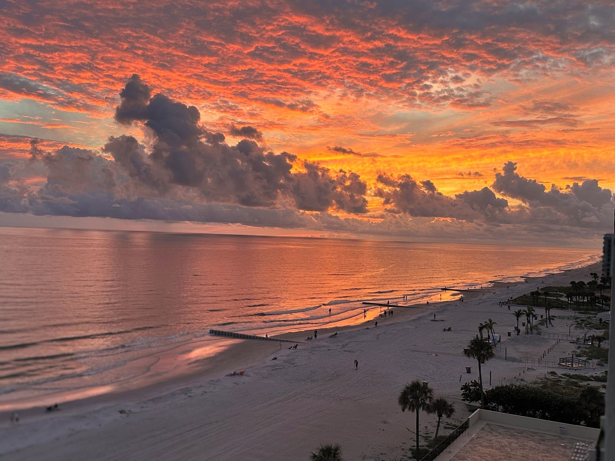 You'll be taking photos just like this. And bragging about it. 