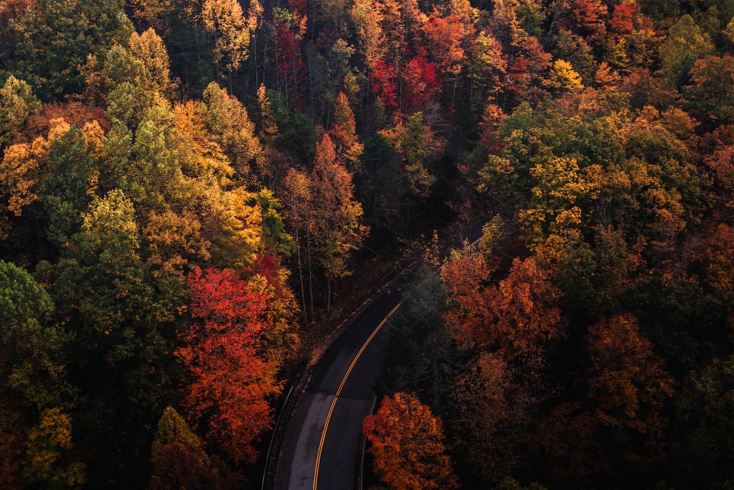 Gorgeous Country roads during the Fall season.