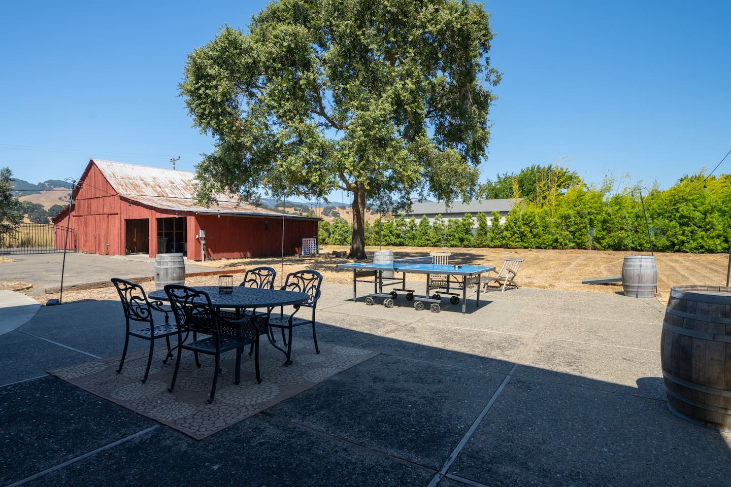 Plenty of backyard space for everyone to enjoy!