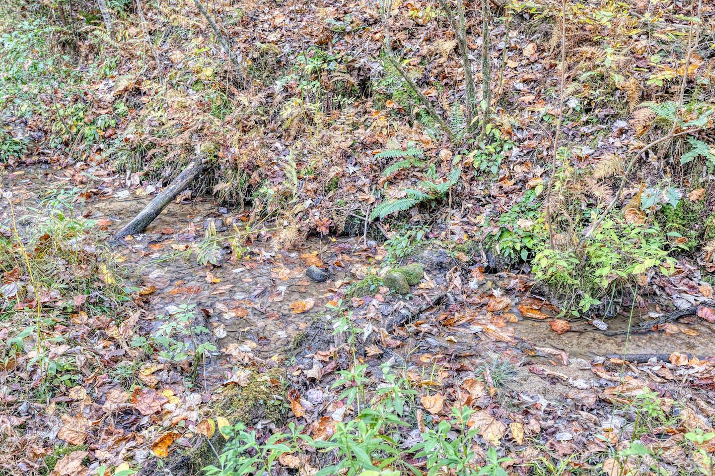 Fallen leaves dance upon the gentle flow of water, composing a serene melody that whispers of autumn's embrace and the timeless rhythm of the natural world.