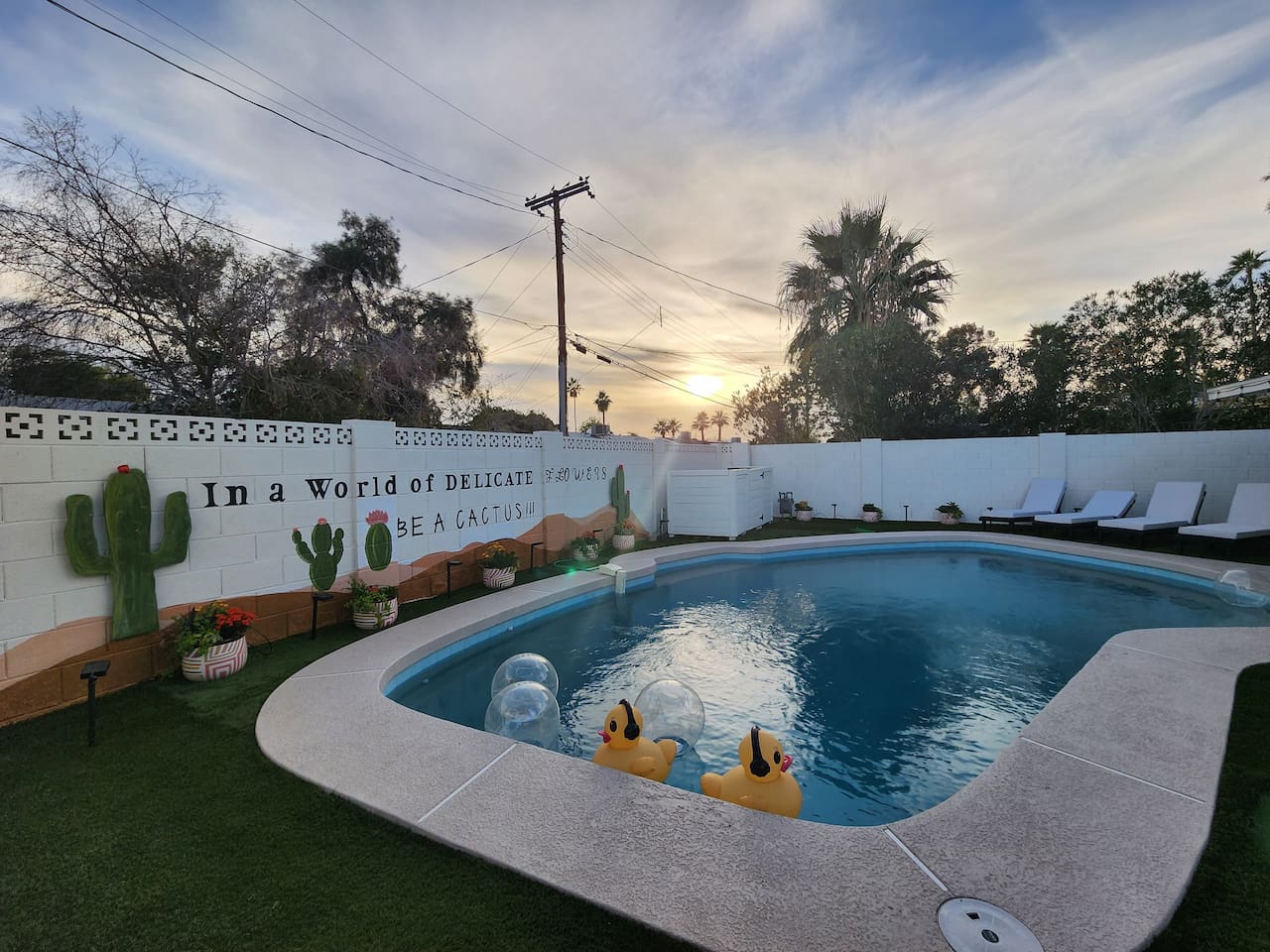 Take in the Arizona sunset from our private heated pool and enjoy a luxurious, quiet, golden-hour moment before the evening begins.