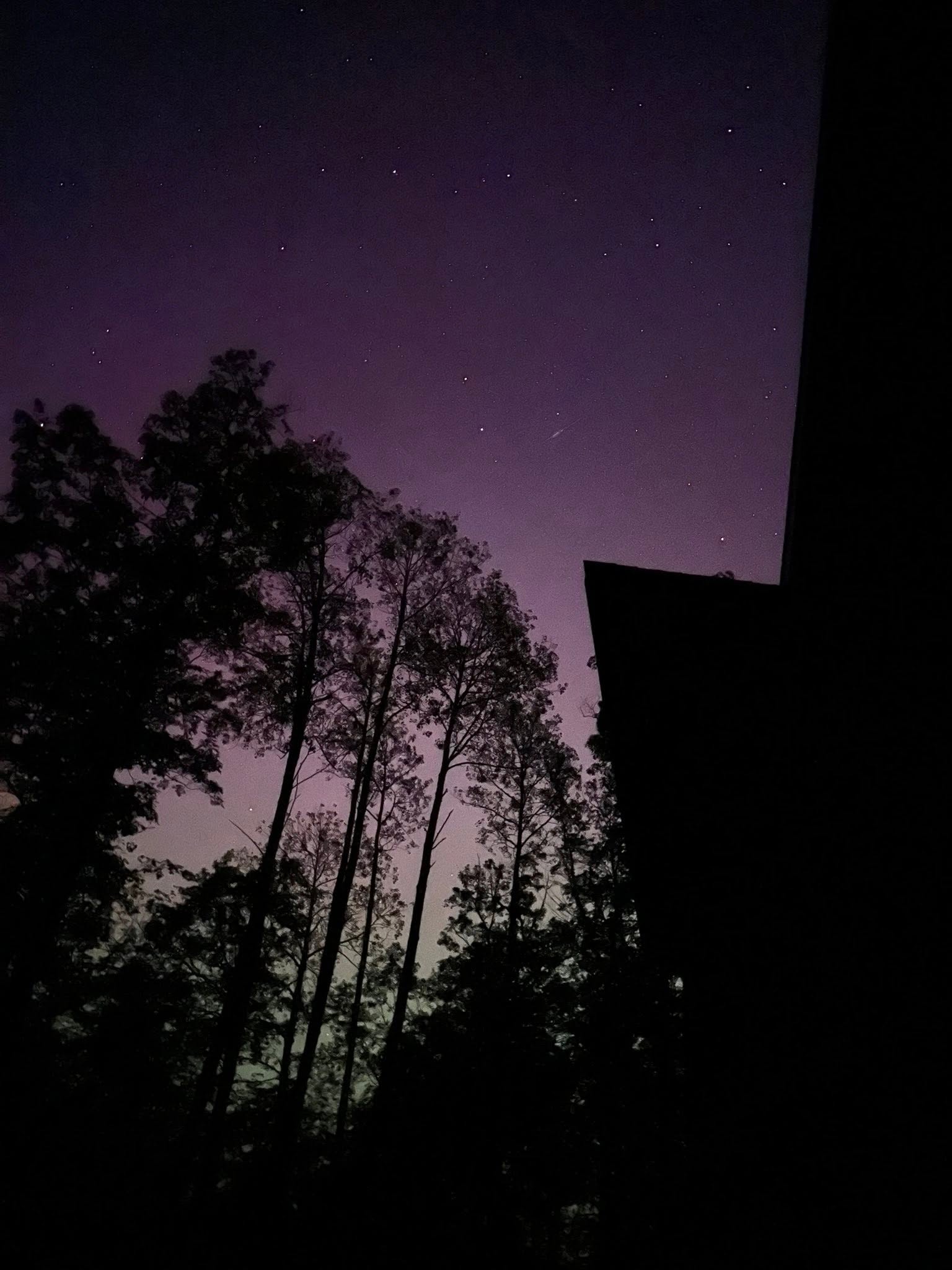 From the Deck