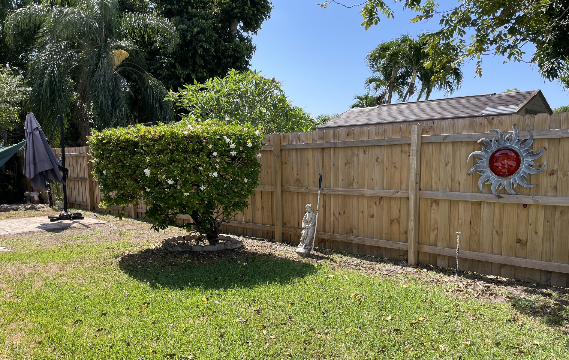 The backyard features a lovely bloom and lots of sunshine.