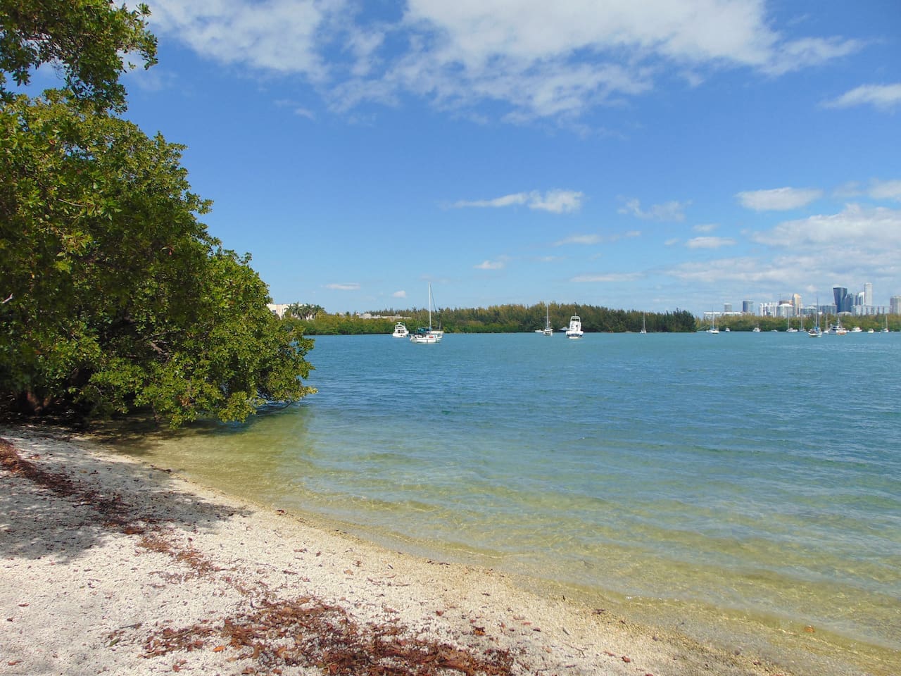 Biscayne Bay. FIU North Campus