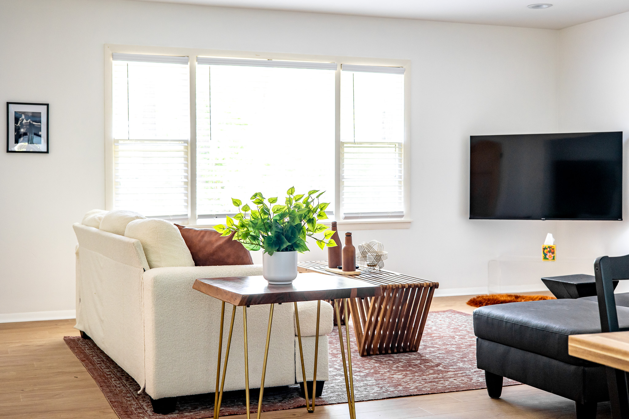 Living room w/TV