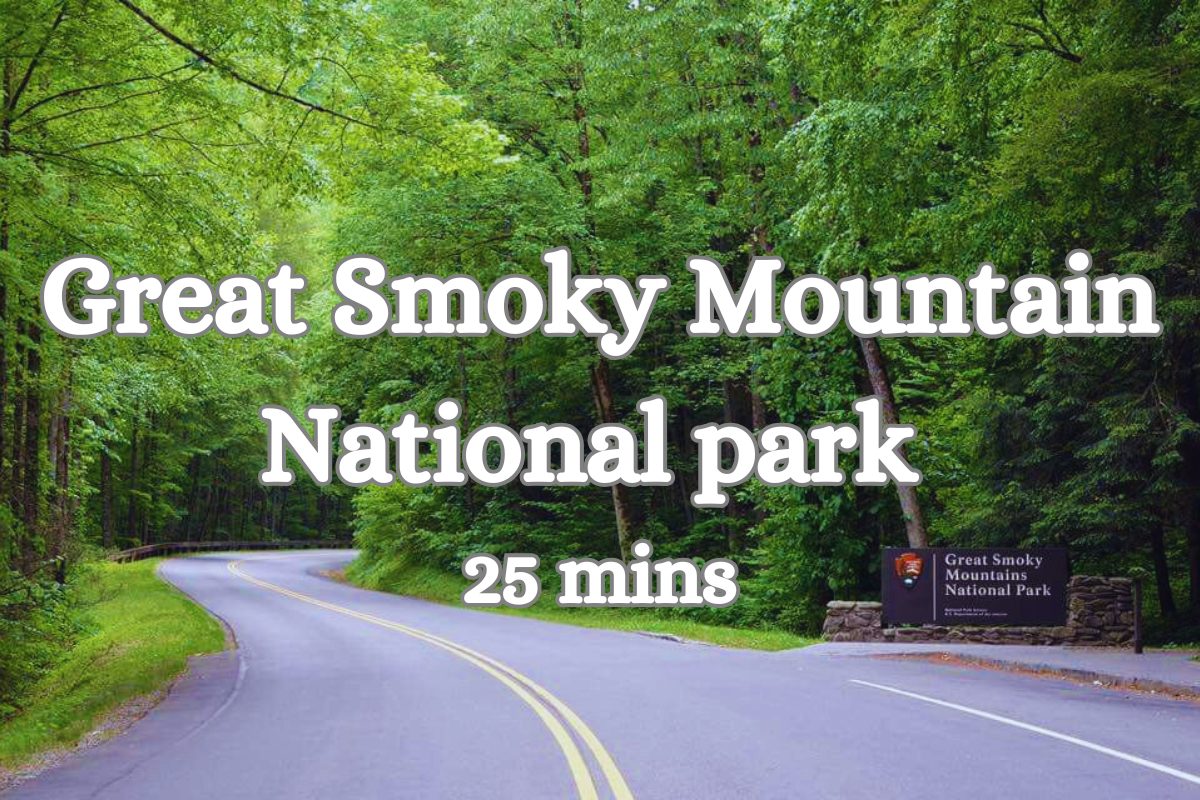 Local Adventure Awaits: Explore the Great Smoky Mountains just 25 minutes from your door!