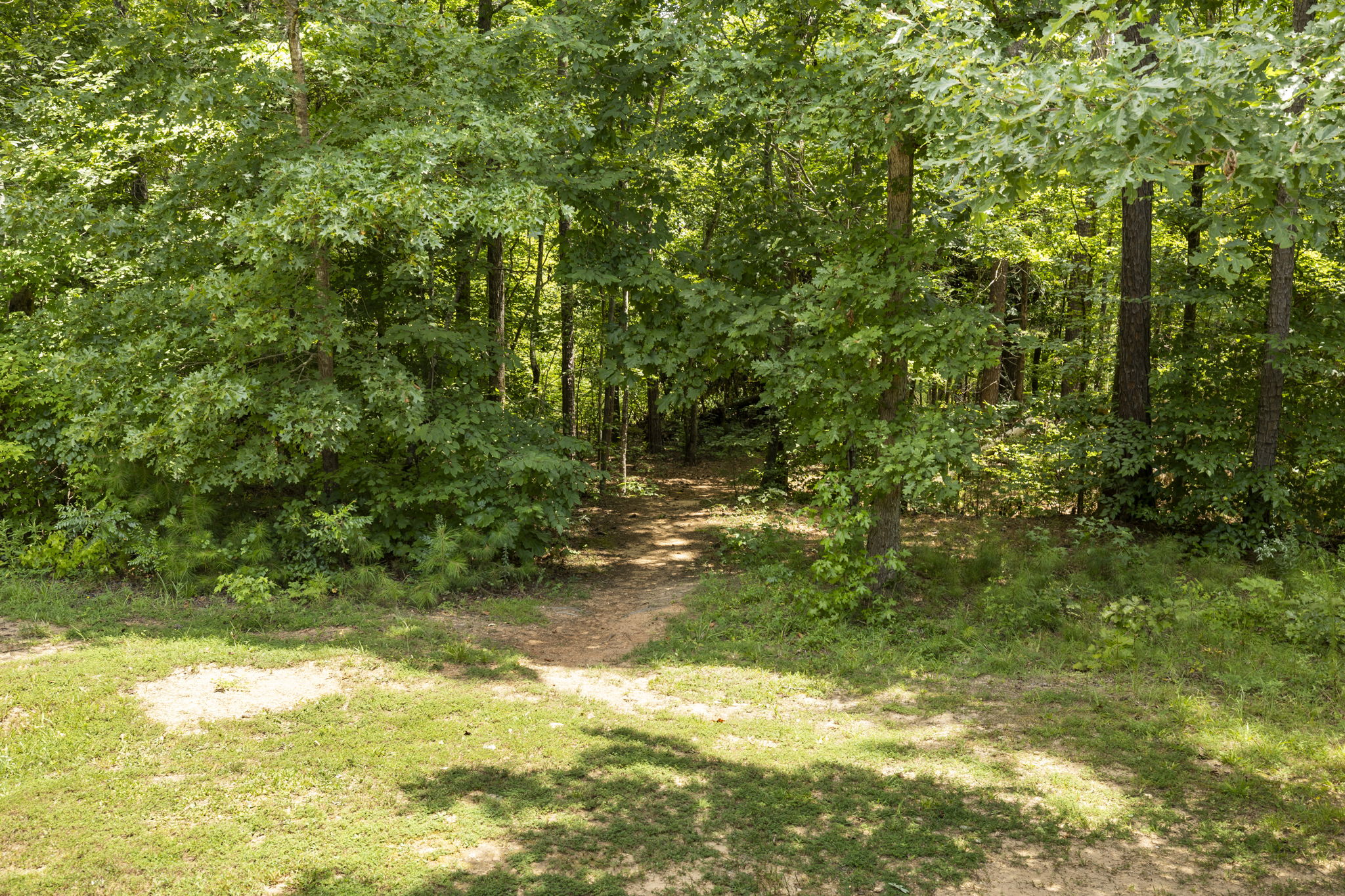 Multiple trails on property