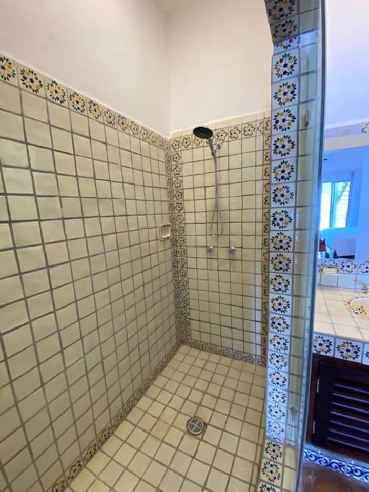 Master Shower