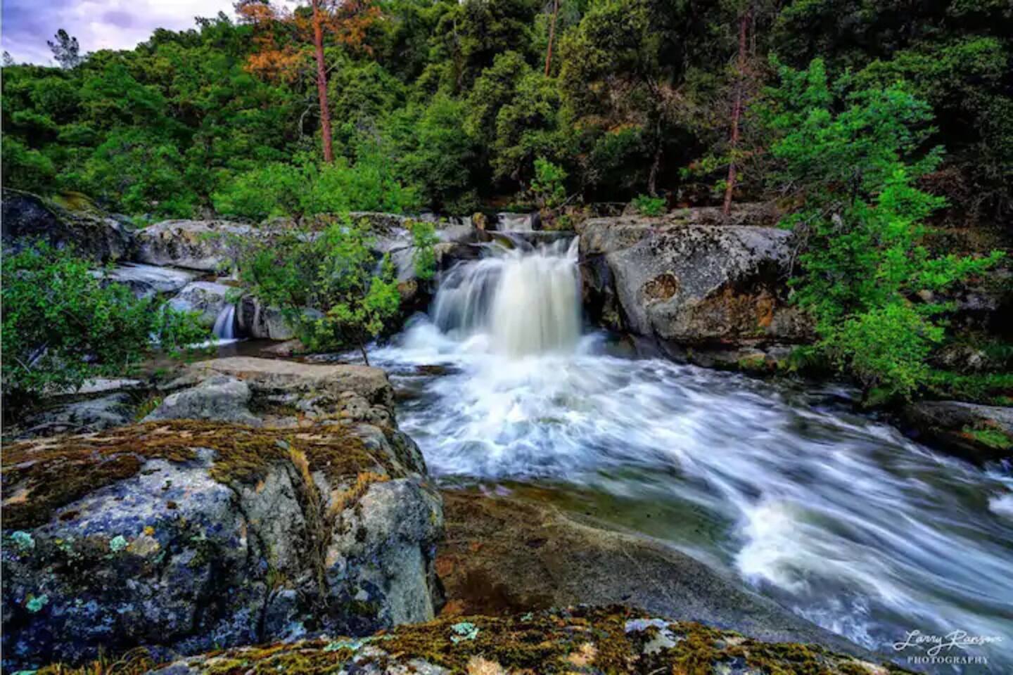Waterfall - backyard