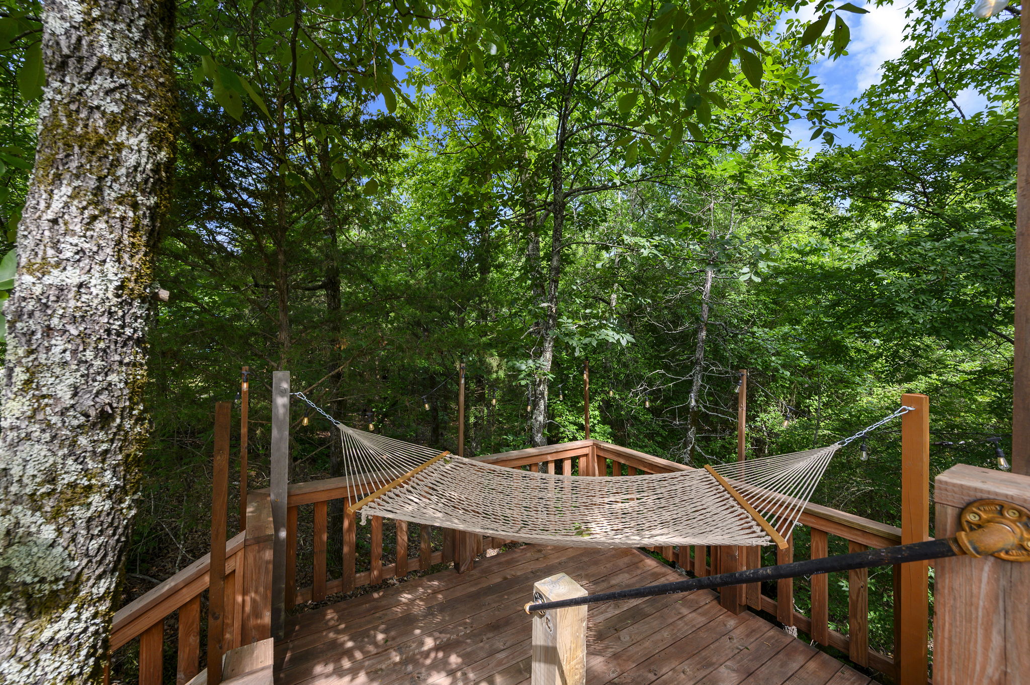 Hammock in the trees
