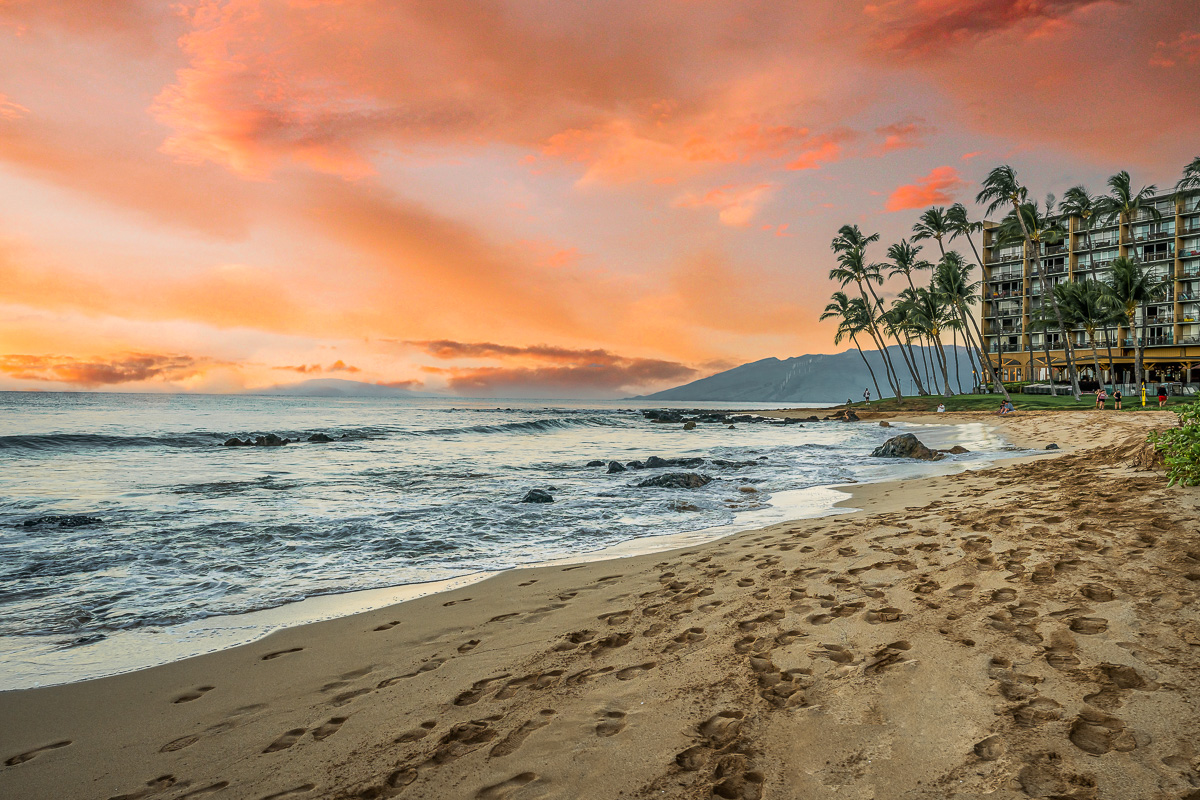 クリストファー・イーガン、【Reflections of Maui】 クリストファー・イーガン、【Reflections of Maui】