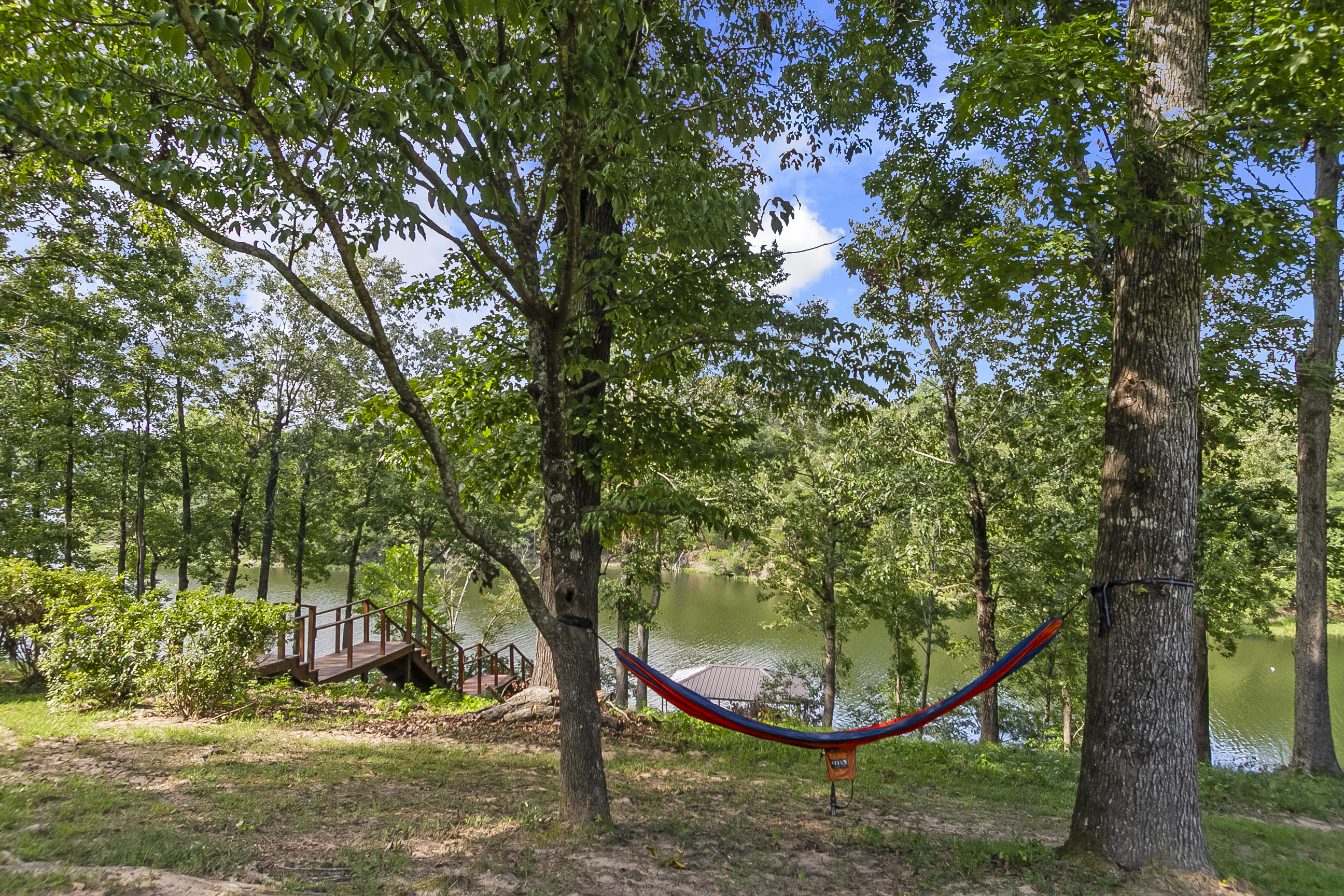Peaceful Relaxation in a Hammock