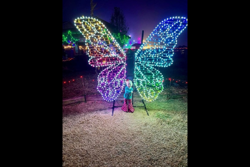 Experience the sparkle of our dazzling light displays! Book your stay and enjoy enchanting evenings (seasonal).