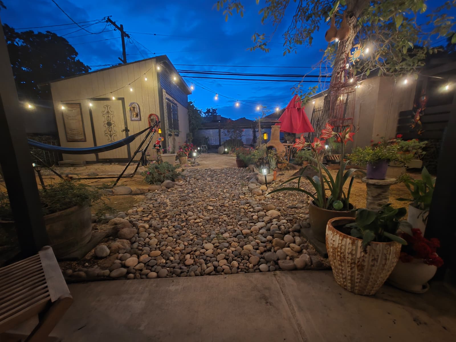 Backyard