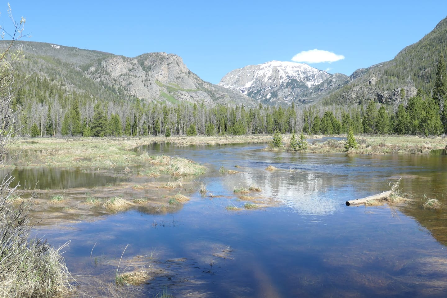 Infamous Mt Baldy is just a short hike up the East Inlet Trail past the must-see Adams Falls