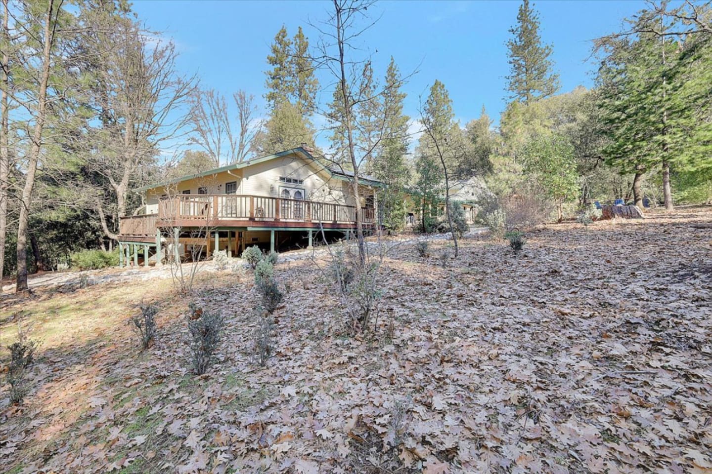 Cabin exterior surrounded by trees, with a wraparound deck and wide outdoor space for a quiet getaway.
