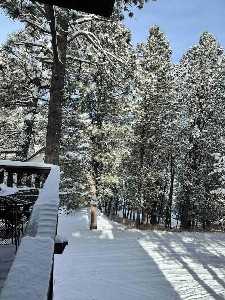 Snow view from the deck