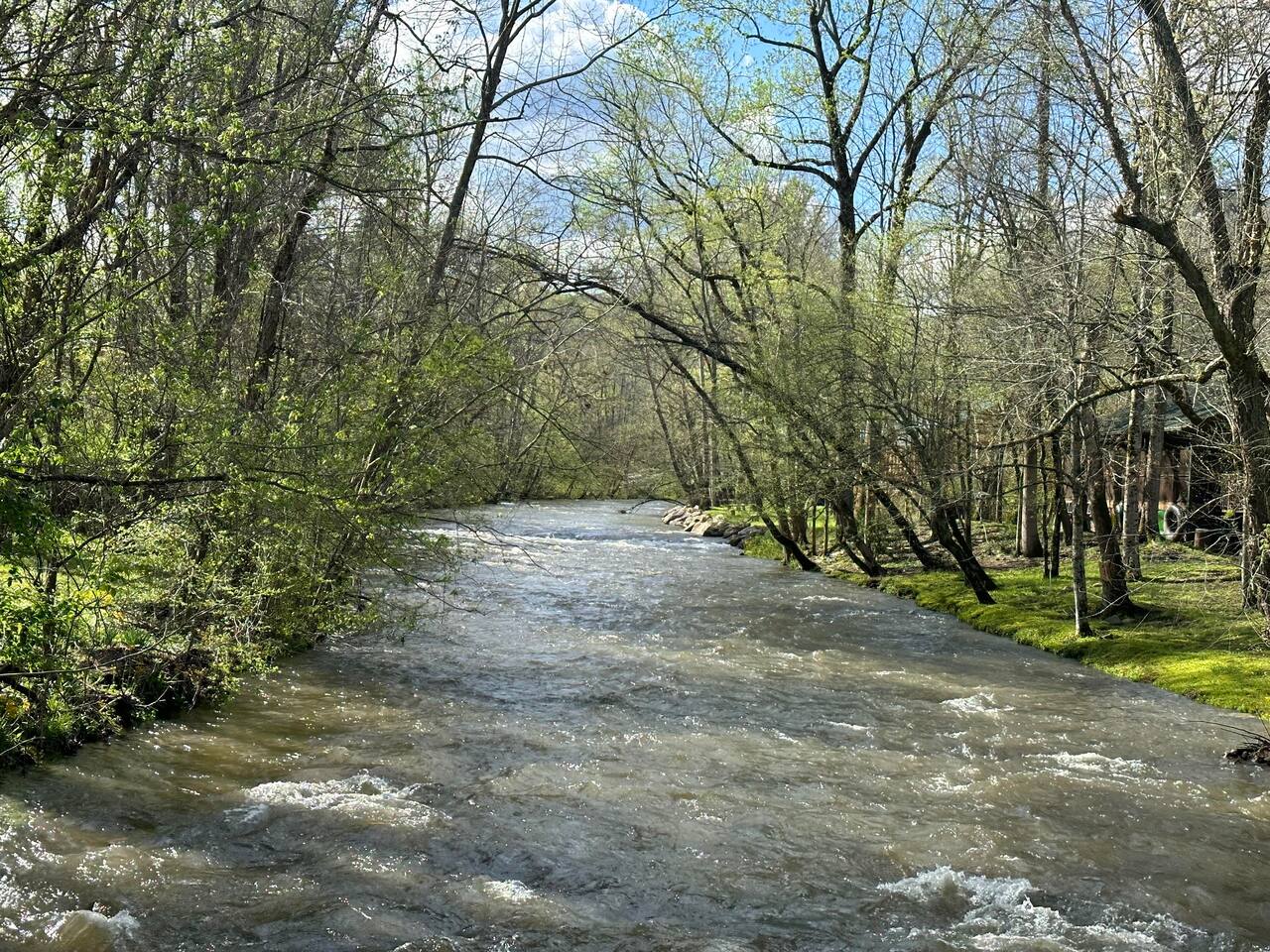 Creekside Paradise! Creek view
