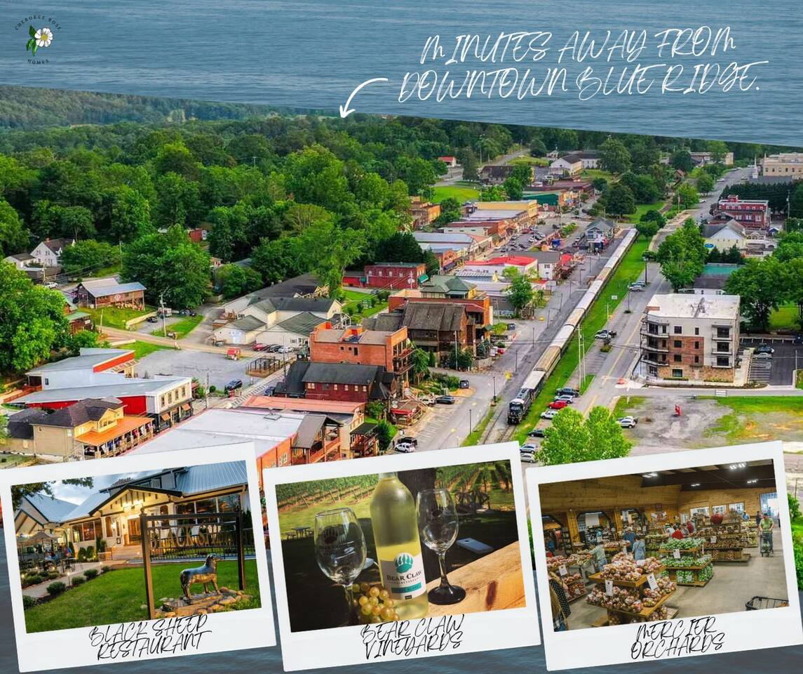 Explore the best restaurants and wineries in Blue Ridge for a delightful culinary and wine-tasting experience!