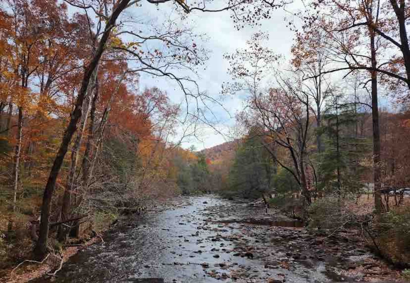 Metcalf Bottoms only three miles away in the Smoky Mountain National Park.