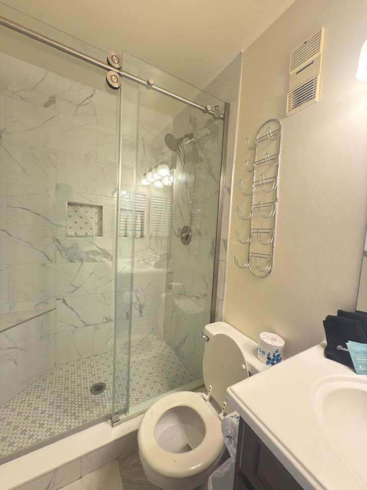Glass walk-in shower