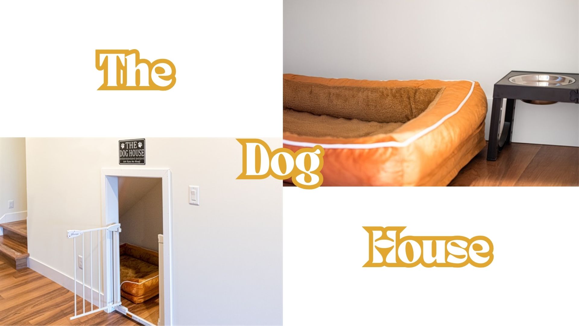 1 XL dog bed with dog bowls